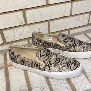Keds Cream and White Canvas Sneakers